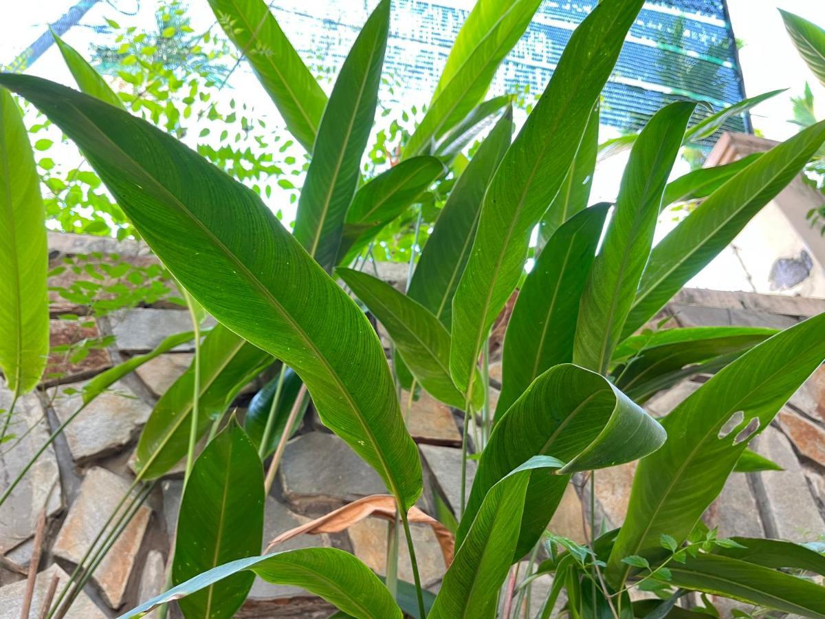 Hidden Hue Homestay Exterior foto